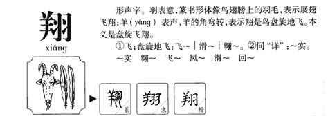 翔五行|翔的五行